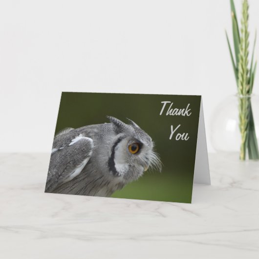Carte de remerciements - Chouette gris bébé (Devant)