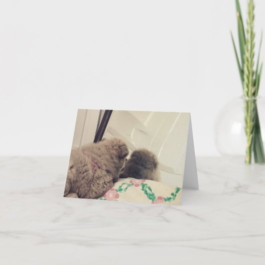 Carte De Remerciements chow chow chiot se voit dans le miroir (Devant)