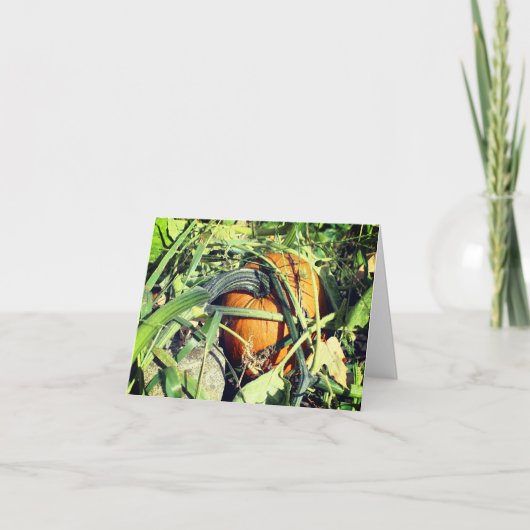 Carte De Remerciements Citrouille Sur Vine Nature Note Personnalisable (Devant)