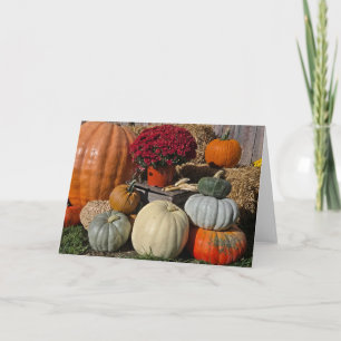 Carte De Remerciements Citrouilles d'automne