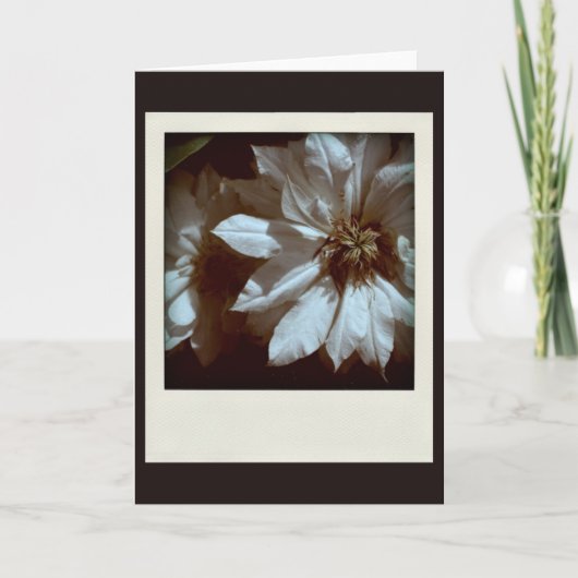 Carte De Remerciements Clematis 1 Condoléances Sympathy Note card (Devant)