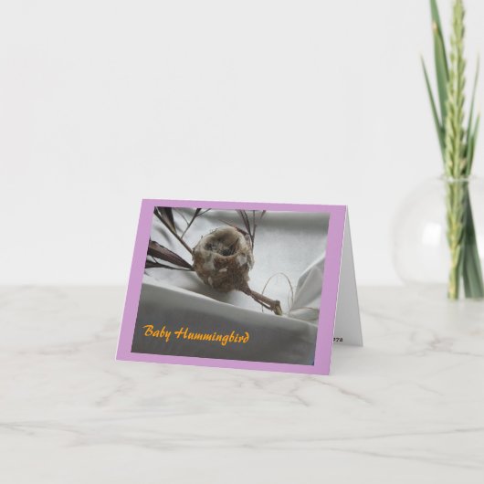 Carte De Remerciements Colibri de bébé (Devant)