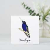 Carte De Remerciements Colibri de Coronet (Debout devant)