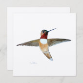 Carte De Remerciements Colibri roux (Devant / Derrière)