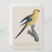 Carte De Remerciements Conure soleil Aratinga solstitialis (Devant)