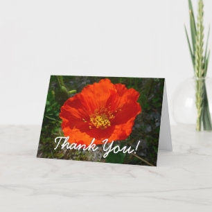 Carte De Remerciements Coquelicot Rouge d'Alaska Fleur Colorée