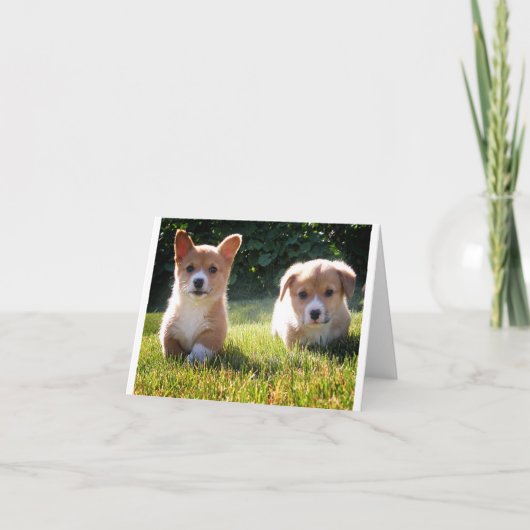 Carte De Remerciements Corgi ( Pembroke ) Puppy Dog Blank Note Card (Devant)