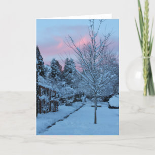 Carte De Remerciements Coucher de soleil d'hiver