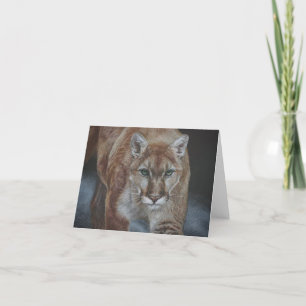 Carte De Remerciements Cougar Stalking