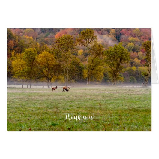 Carte de remerciements Couple Elk (Devant Horizontal)