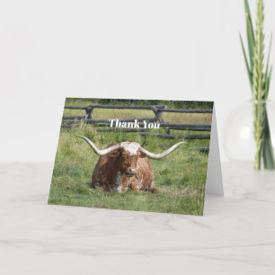Carte De Remerciements Cow Texas Longhorn Photo