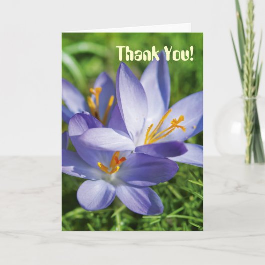 Carte De Remerciements Crocus (Devant)