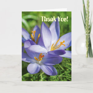 Carte De Remerciements Crocus