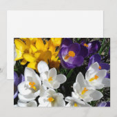 Carte De Remerciements Crocus Fleur Mélange Floral (Devant / Derrière)