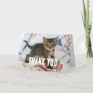 Carte De Remerciements Cute Tabby Kitten À L'Air Surpris