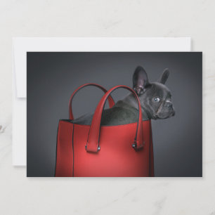 Carte De Remerciements Cutest Baby Animals   French Bulldog Red Hand Bag