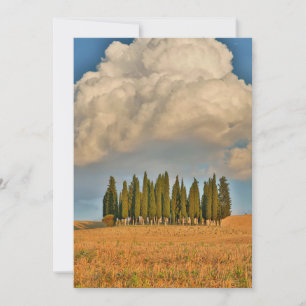 Carte De Remerciements Cyprès de la Toscane rurale