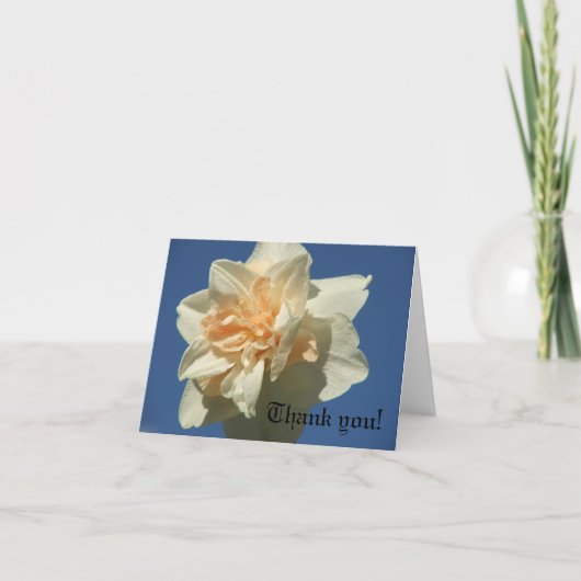 Carte De Remerciements Daffodique (Devant)