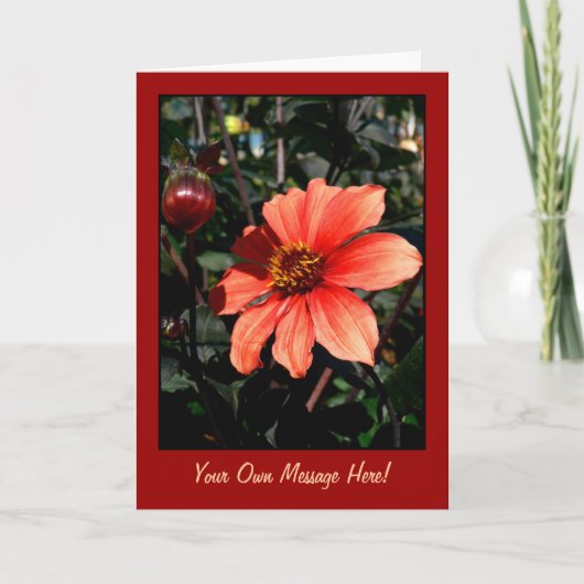 Carte De Remerciements Dahlia (Devant)