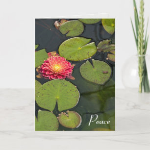 Carte De Remerciements Dahlia Flottant Avec Lily Pads Sympathie