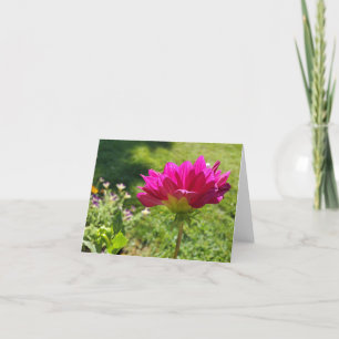 Carte De Remerciements Dahlia rose