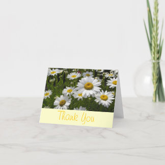 Carte De Remerciements Daisies Thank You