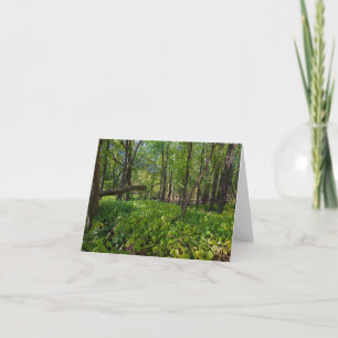 Carte De Remerciements dans la forêt à fort snelling state park