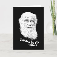 Darwin - Vous Pouvez Le Faire