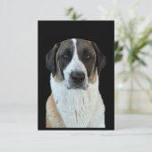 Carte de remerciements de berger anatolien (Debout devant)