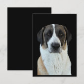 Carte de remerciements de berger anatolien (Devant / Derrière)