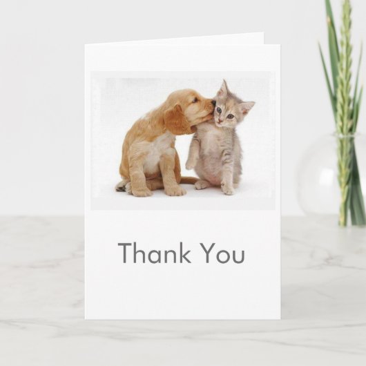 Carte de remerciements de chiot et de chaton (Devant)