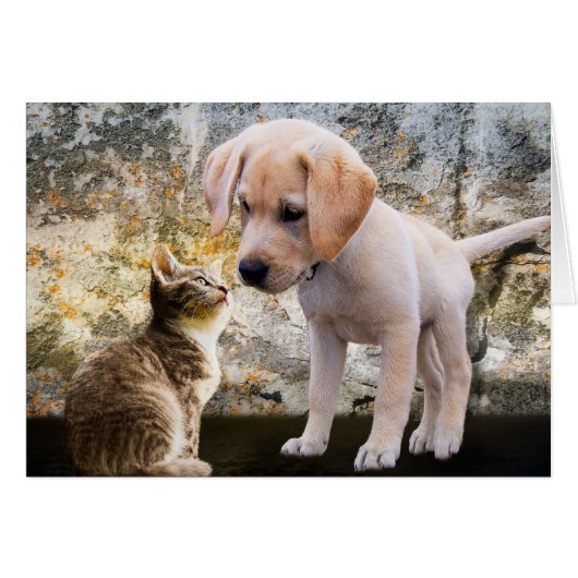 Carte de remerciements de chiot et de chaton (Devant horizontal)