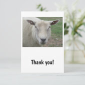Carte de remerciements de conception des moutons (Debout devant)