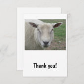 Carte de remerciements de conception des moutons (Devant / Derrière)