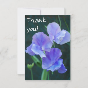 Carte de remerciements de fleurs de pois doux bleu