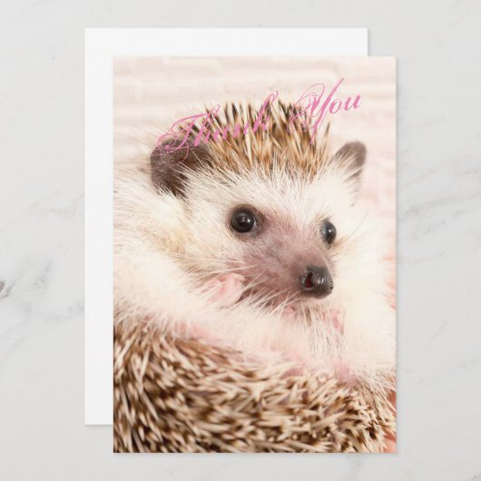 Carte de remerciements de Hérisson (Devant / Derrière)