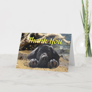 Carte de remerciements de labrador retriever