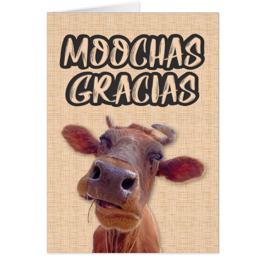 carte de remerciements de vache "Moochas Gracias" (Devant)