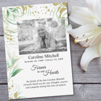 Délicat feuillage pour toujours dans nos coeurs Ph