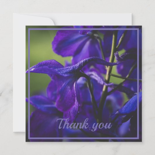 Carte De Remerciements Delphinium violet profond gros (Devant)