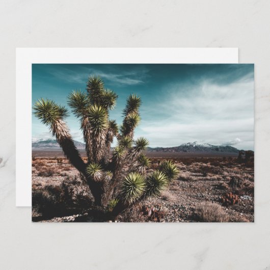 Carte De Remerciements Deserts | Cholla (Devant / Derrière)