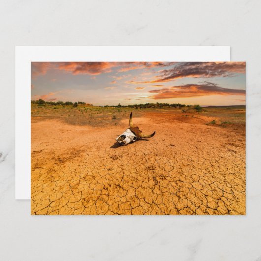 Carte De Remerciements Deserts | Desert with Cow Skull (Devant / Derrière)