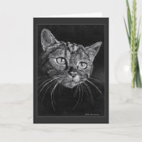 Dessin de visage de chat par Mark Edward Westerfie