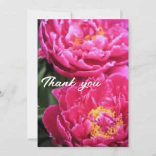 Carte De Remerciements Deux Fuchsia Peony Fleurit Peinture