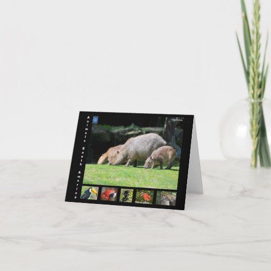 Carte De Remerciements Divers animaux d'Amérique du Sud (Devant)