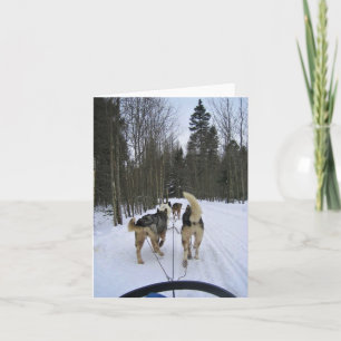 Carte De Remerciements Dog Sledding à Québec, Canada