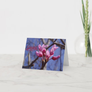 Carte De Remerciements Dogwood Blossom Blank Greeting Card