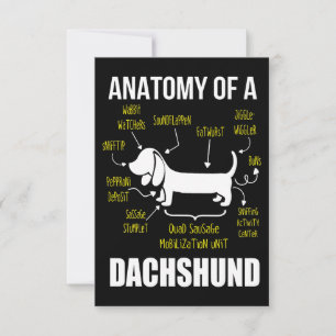 Carte De Remerciements Don de chien Anatomie De Dachshund