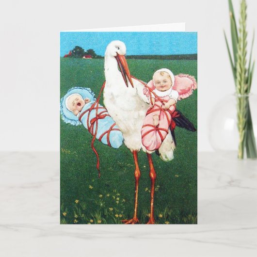 Carte De Remerciements DOUBLE BÉBÉ STORK SHOWER, Rose ,Bleu Turquoise (Devant)