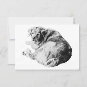 Carte De Remerciements Douce Gratitude, Ami au Repos